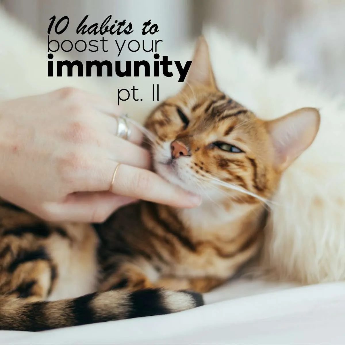 10 great habits for solid health, longevity and to boost your immune system. A healthy lifestyle can keep you away from infections and…