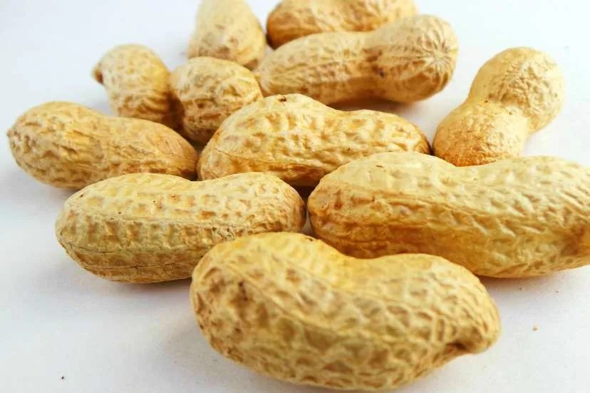 No bake peanut butter bites