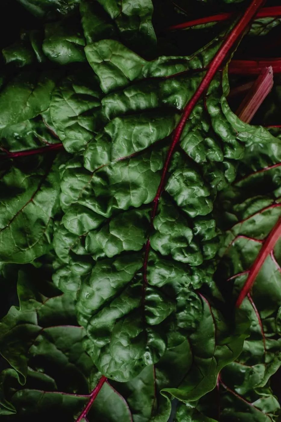 9 surprising benefits of vegetables and fruit