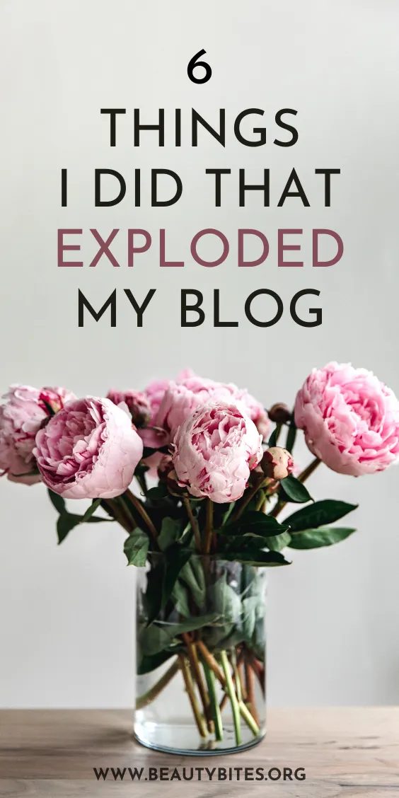 How our traffic exploded in one month: from 860 to over 19.000 page views