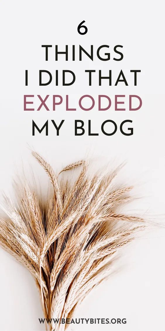 How our traffic exploded in one month: from 860 to over 19.000 page views