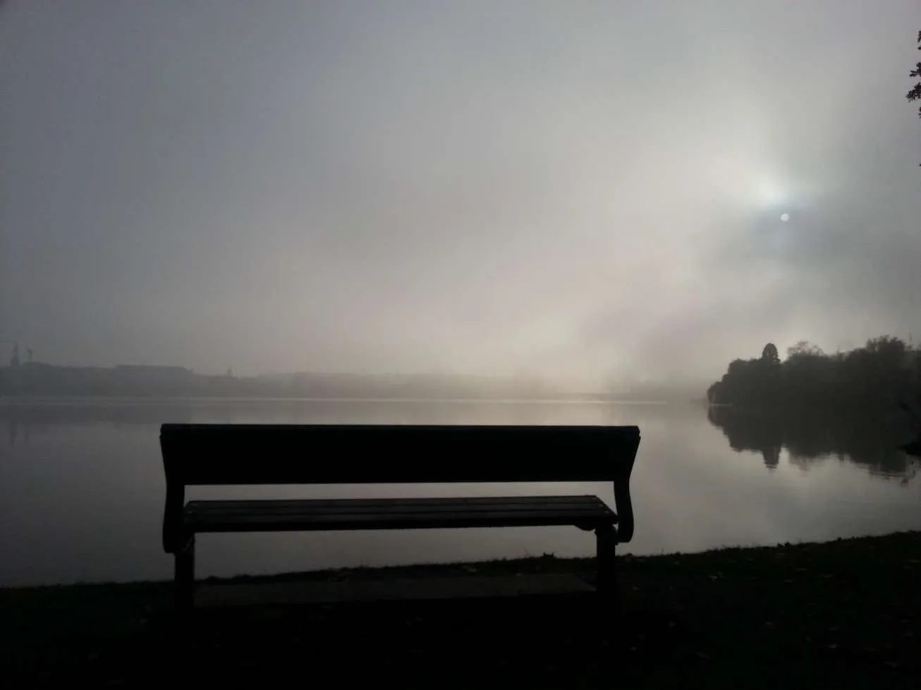 WP_20141125_024