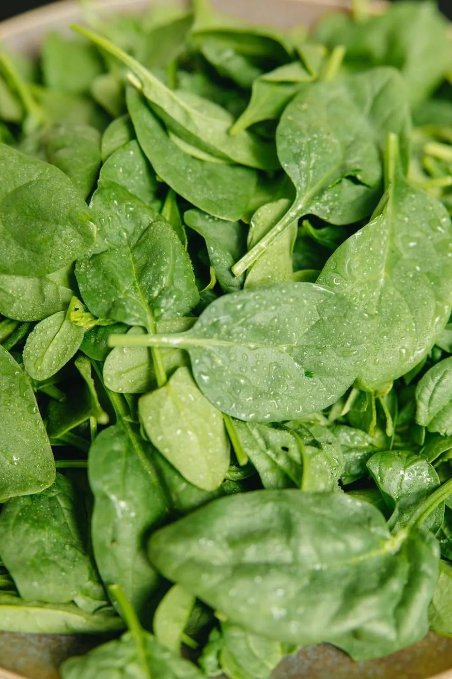 10 healthy spring foods and how to eat them