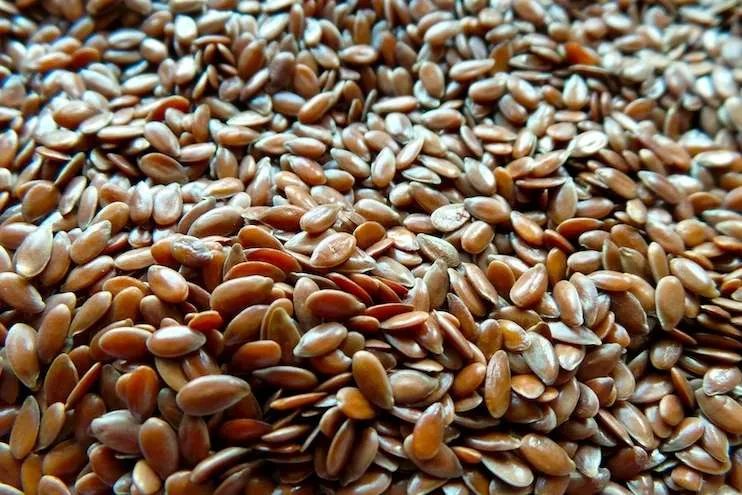 24 high fiber low carb foods to keep on hand every day