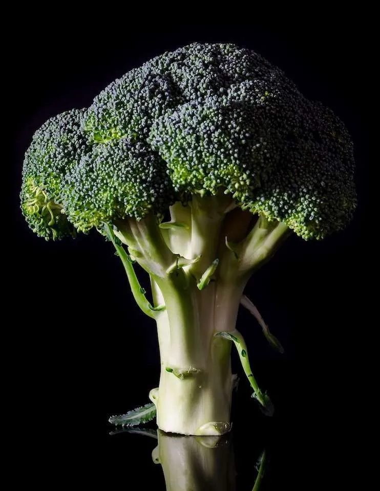 24 high fiber low carb foods to keep on hand every day