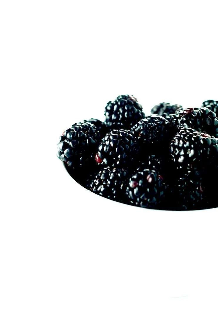 24 high-fiber low carb foods to eat on a low carb or keto diet! Include these healthy foods in your ketogenic diet recipes to keep your…