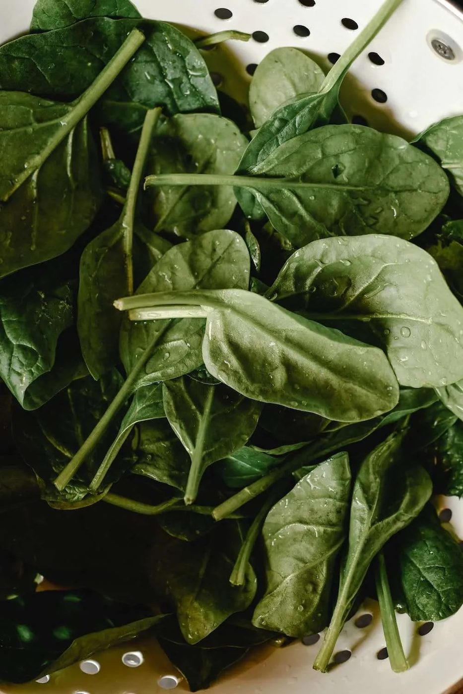 High-protein low-carb vegan recipes are hard to find! Make your own by using these high-protein vegan foods that are also low-carb!