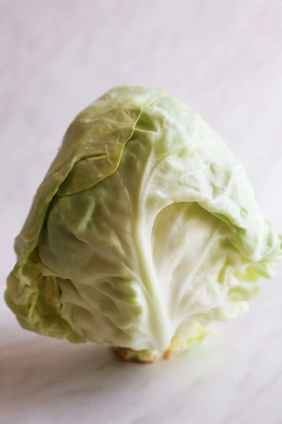 cabbage