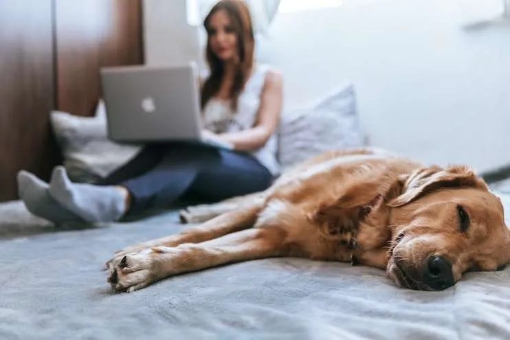 Get fit without a gym membership – tips for working out at home