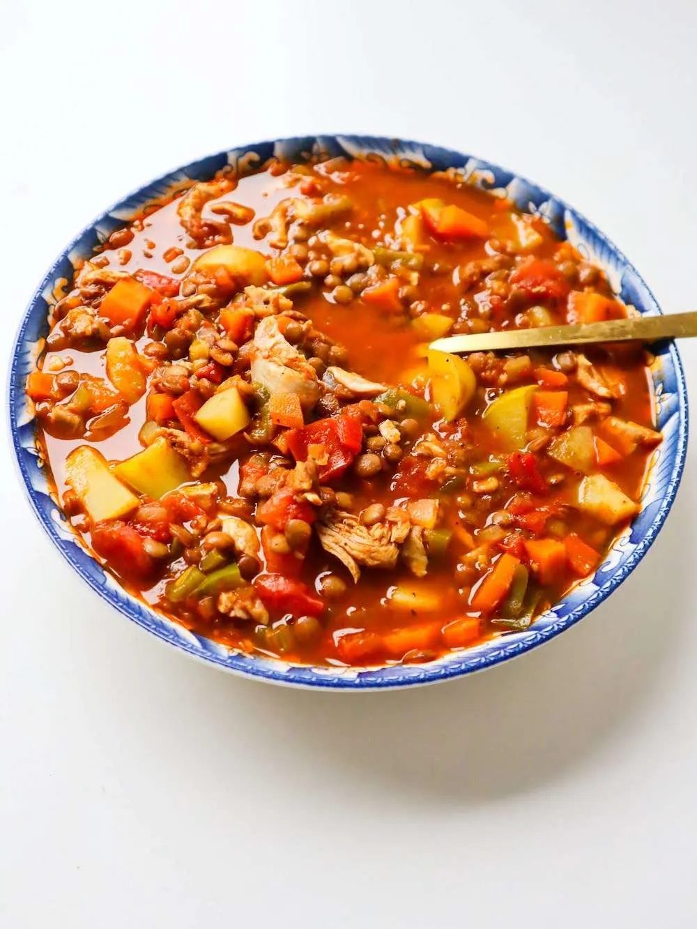 Lentil chicken soup