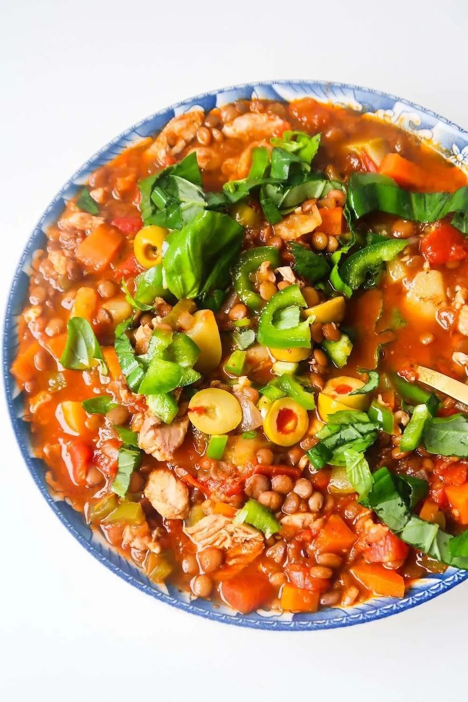 Lentil chicken soup