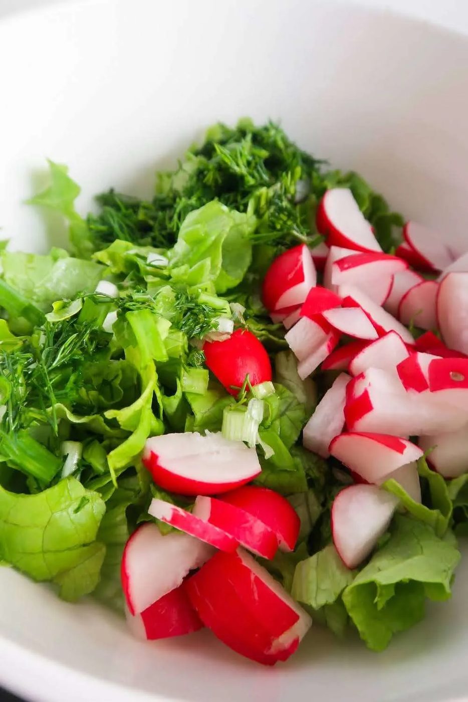 Lettuce salad with dill, simple