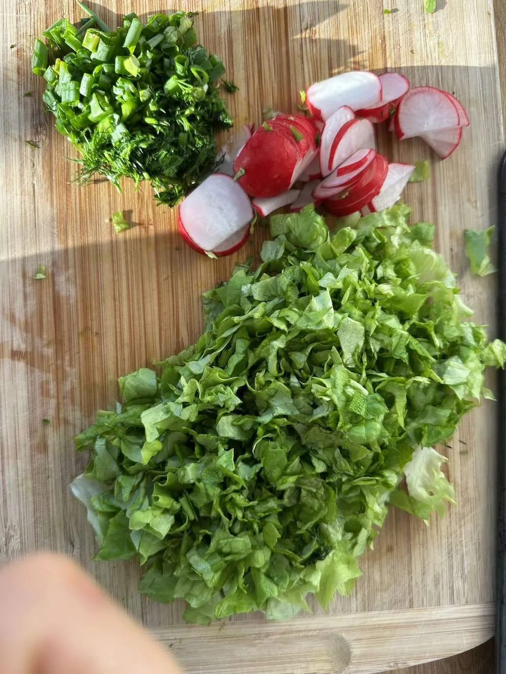Lettuce salad with dill, simple