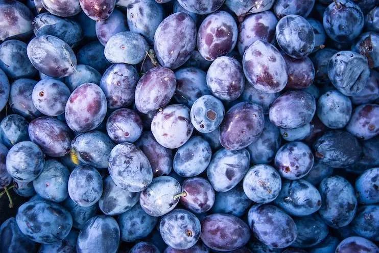 The six healthiest foods to eat - this secret superfood list is short, but it can help you discover the health benefits of various…