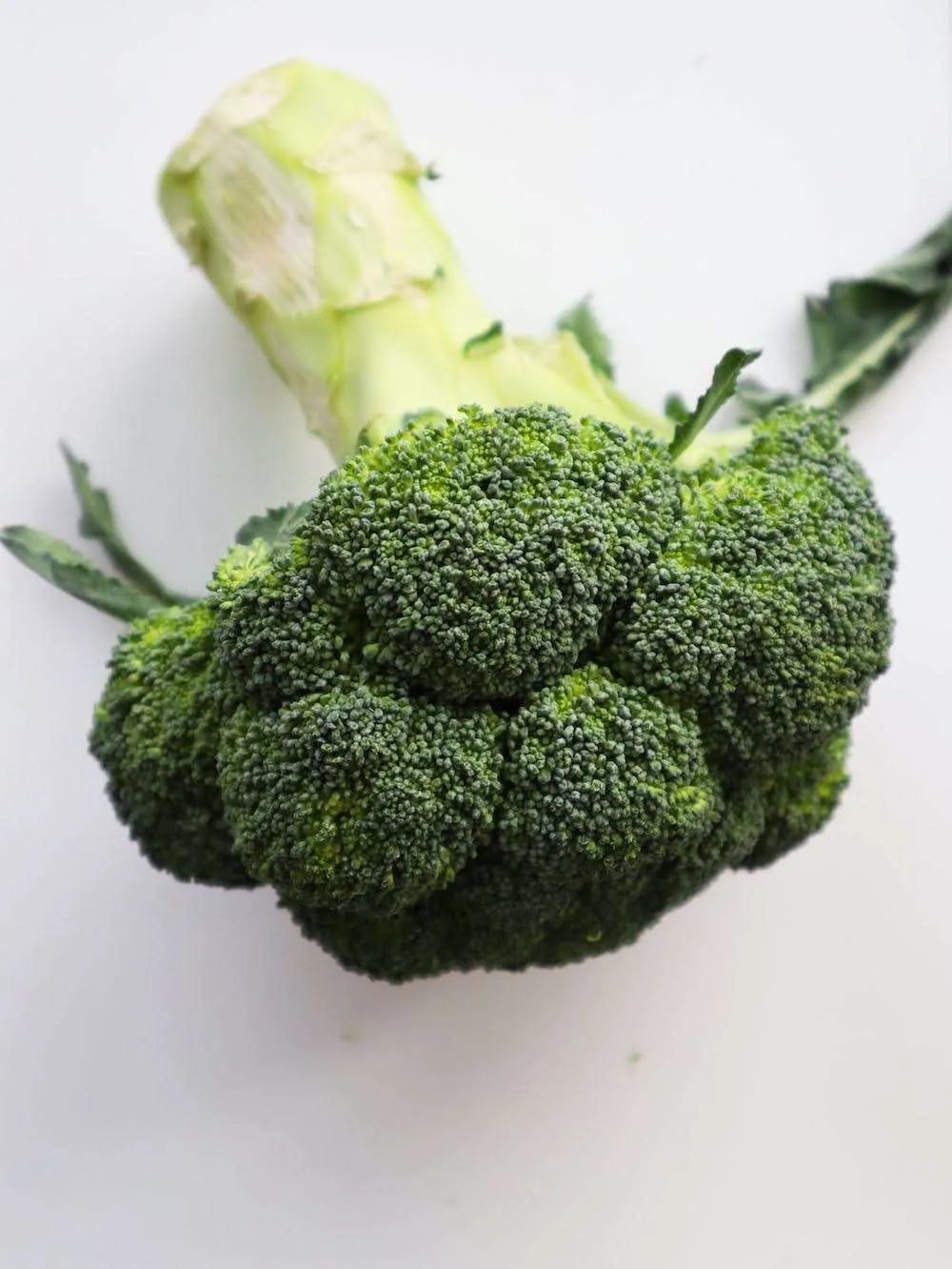 broccoli