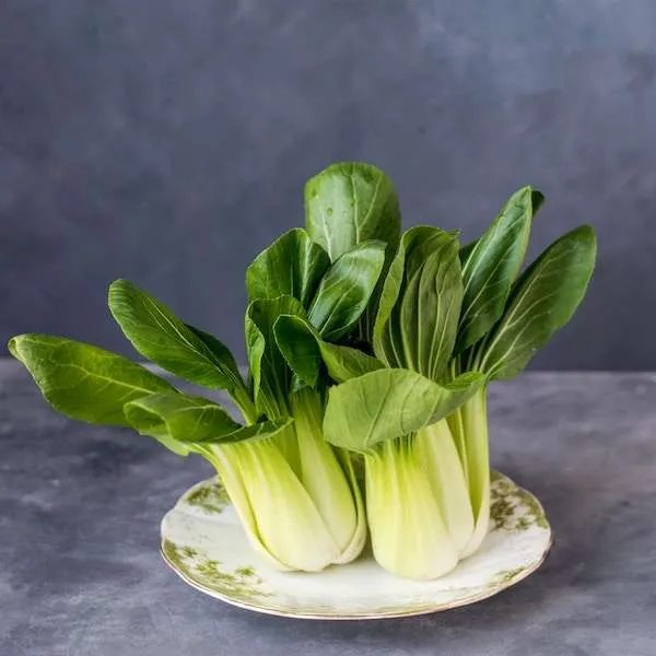 20 alkaline vegetables to eat on the ketogenic diet