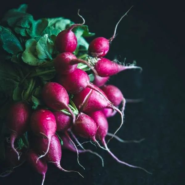 20 alkaline vegetables to eat on the ketogenic diet