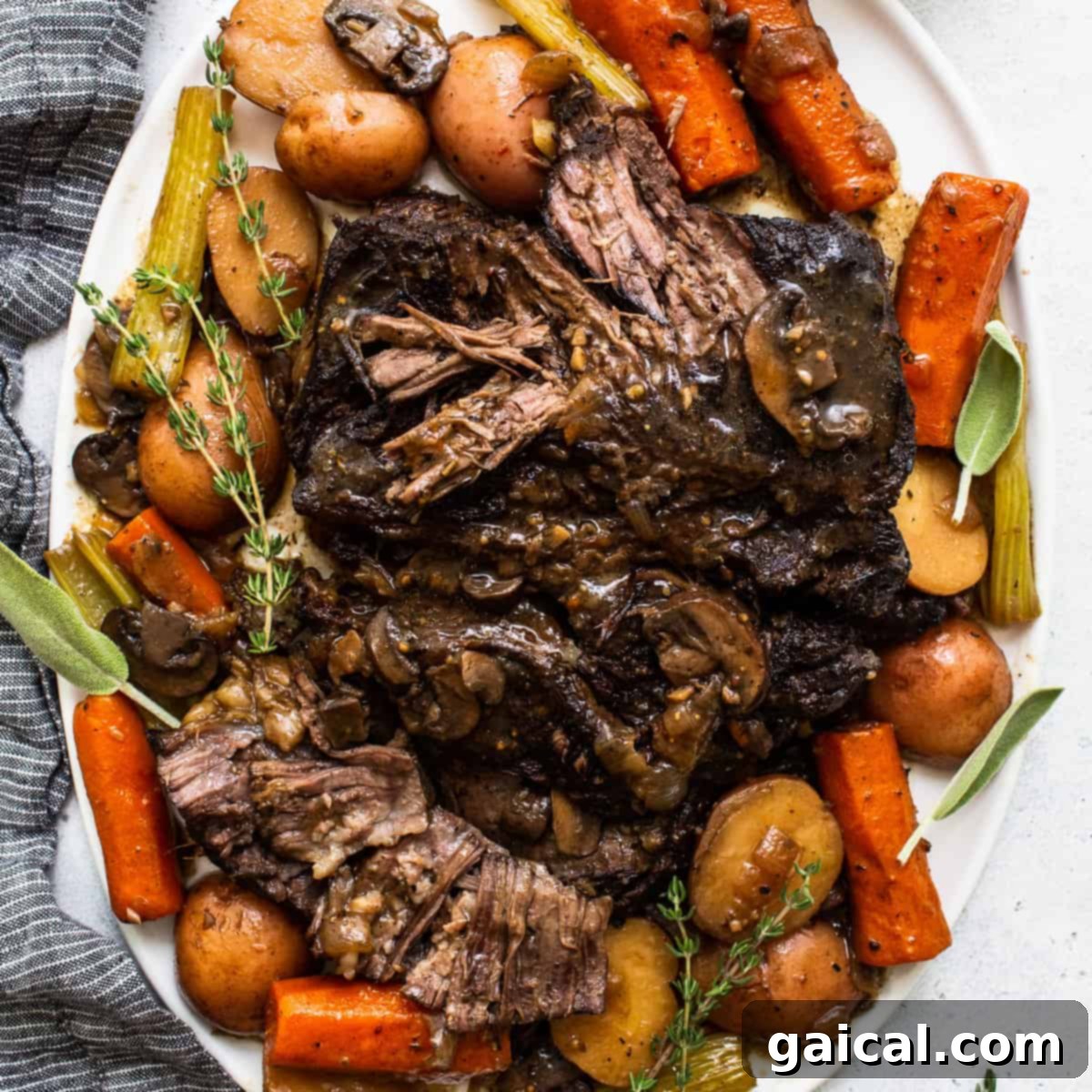 featured 186421