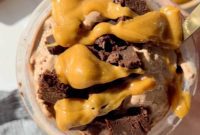 Decadent Chocolate Brownie Protein Creami Ice Cream