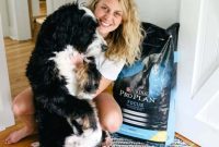 Beyond the Bowl: Crafting the Perfect Diet for Your Canine Companion