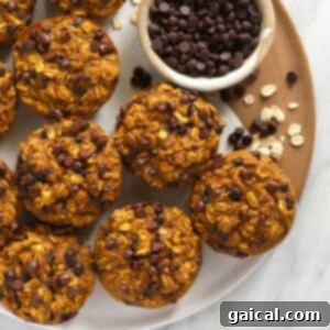 Spiced Pumpkin Oat Cups 6 A perfectly portioned pumpkin oatmeal cup, rich with fall flavors, ready for a quick and healthy meal.
