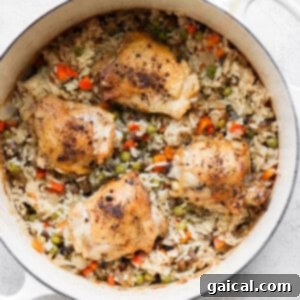 Delicious one-pot chicken and rice served on a plate.