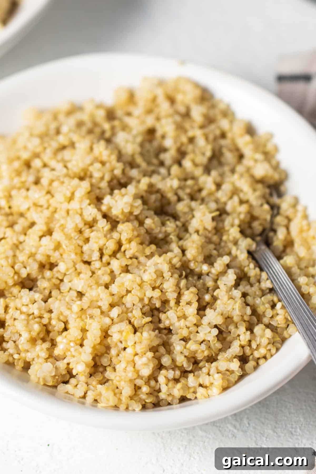 A crisp white bowl filled with freshly cooked quinoa, perfectly fluffed and ready for a meal.