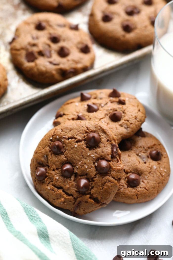 Delicious paleo cashew butter cookies, grain-free and oil-free, sweetened with coconut sugar, mimicking the classic Tollhouse taste.