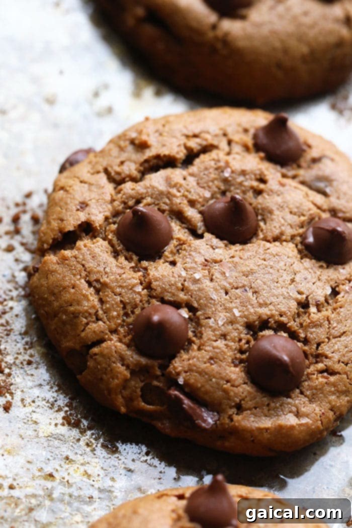 A stack of golden brown paleo cashew butter cookies, invitingly placed on a cooling rack.