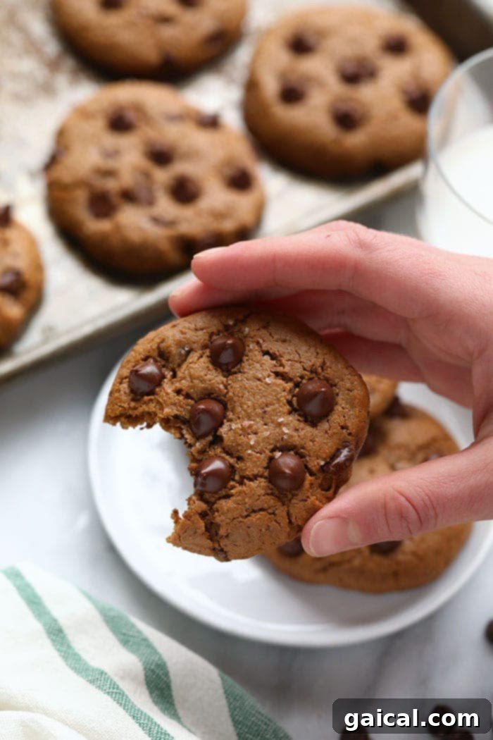 A close-up of a single paleo cashew butter cookie, showing its rich texture and delicious chocolate chips.