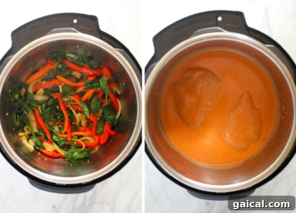Velvety Instant Pot Coconut Curry Chicken 2 ingredients in instant pot