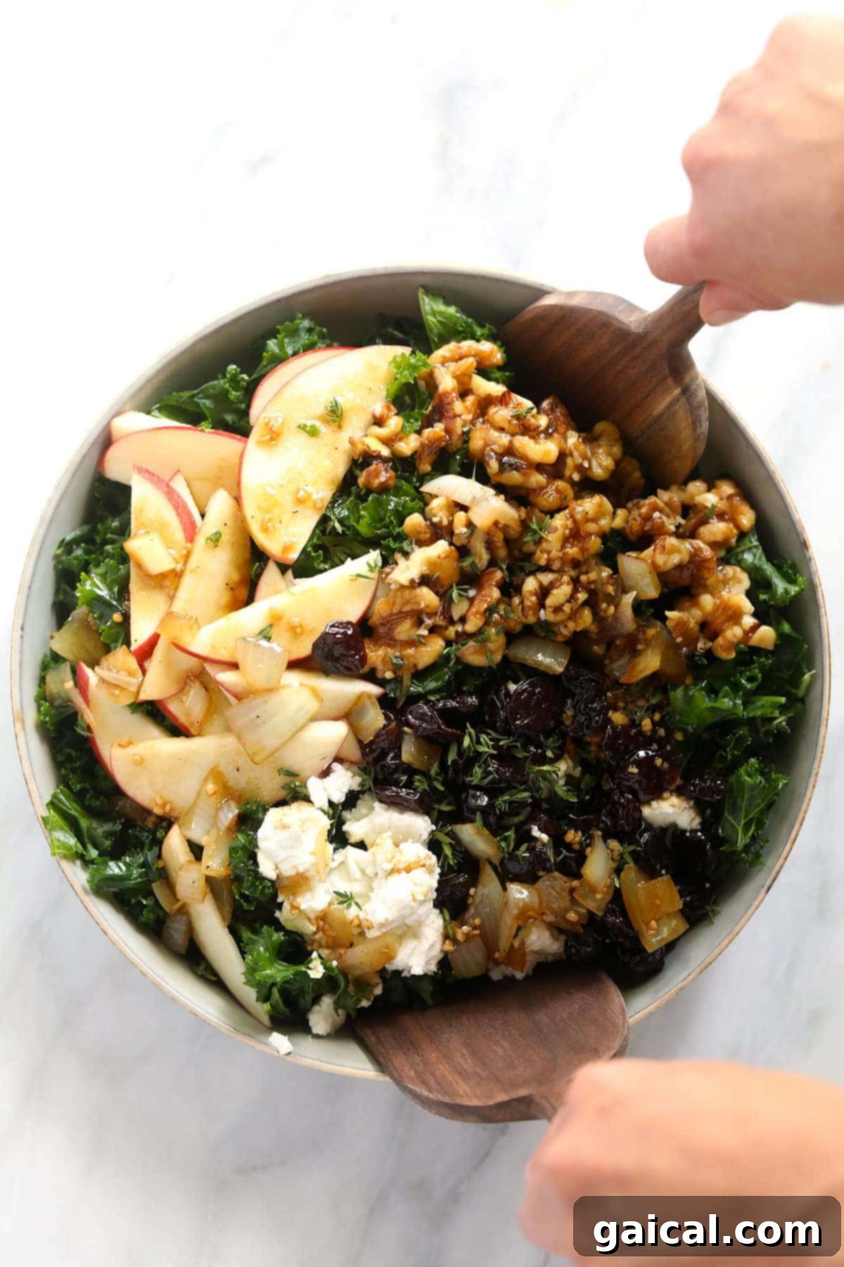Our favorite Thanksgiving Salad recipe made with a massaged kale salad base, apple slices, goat cheese, candied walnuts, and dried cherries! A perfect healthy holiday side. A vibrant Thanksgiving salad in a large bowl, featuring green kale, red apple slices, dark dried cherries, and golden candied walnuts. It's garnished with fresh herbs and ready to serve.