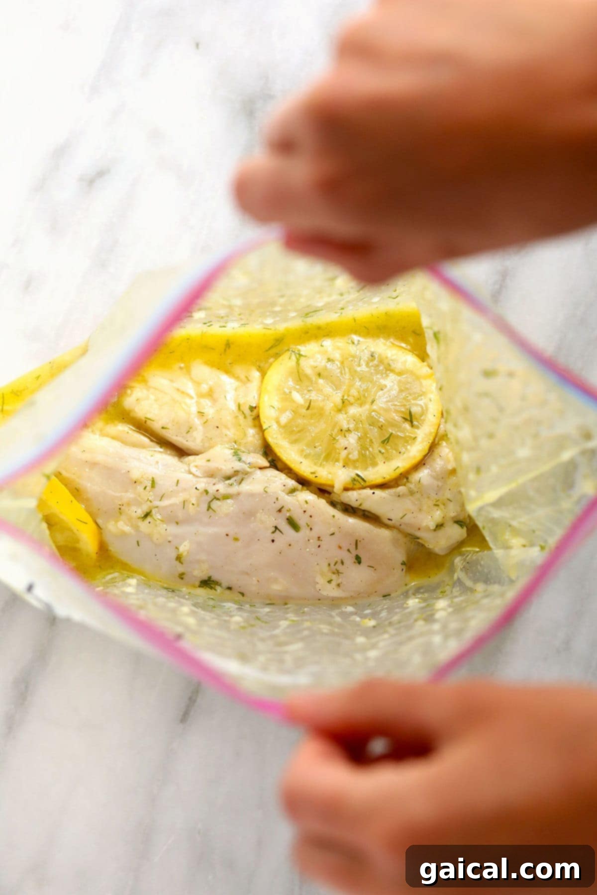 Lemon chicken marinade and raw chicken breasts sealed in a gallon-size freezer bag, ready for storage.