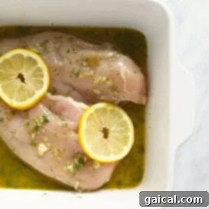 Lemon-marinated chicken breasts showcased in a white dish, ready for refrigeration.
