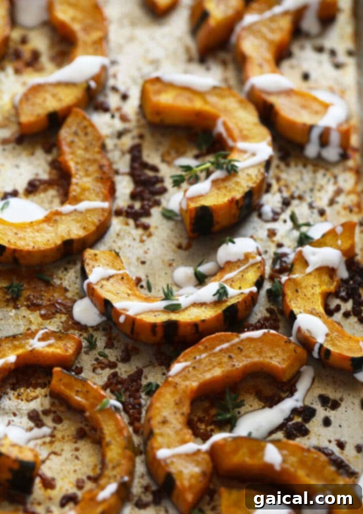 Easy Roasted Delicata Squash with Creamy Garlic Sauce - A Must-Try No-Peel Recipe! Perfectly roasted delicata squash slices drizzled with a creamy garlic sauce, garnished with fresh herbs, on a rustic baking pan.