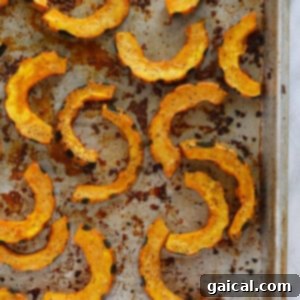 A baking sheet filled with perfectly golden-brown roasted delicata squash, showing its caramelized edges and tender appearance.