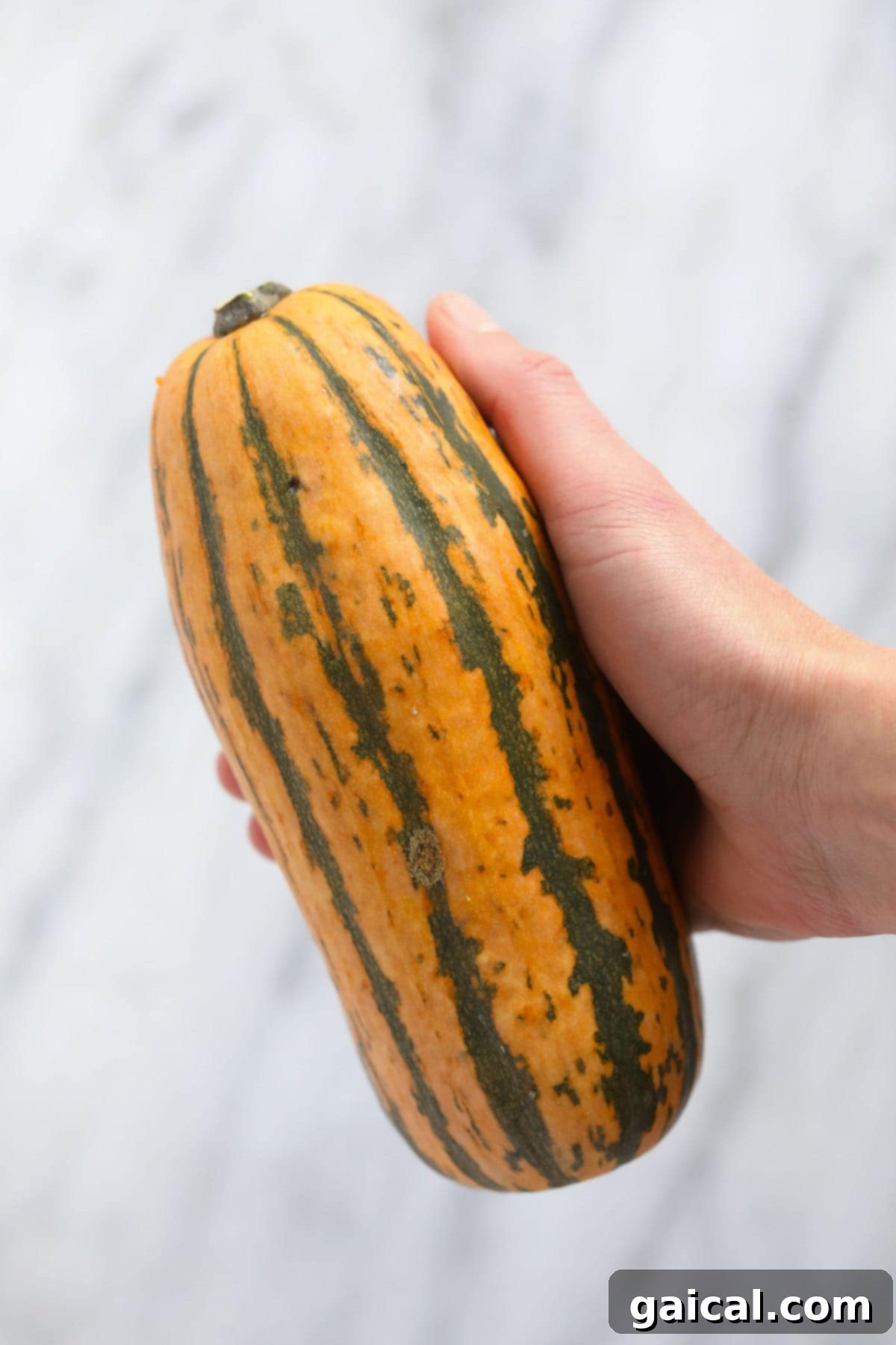 Whole Delicata Squash - Fresh and Ready for Your Easy Roasted Recipe! Three perfectly ripe, whole delicata squashes arranged artfully on a rustic wooden surface, signifying fresh ingredients ready for cooking.