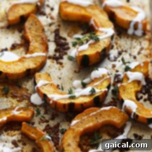 Beautifully roasted delicata squash pieces with creamy sauce on a white plate, ready for serving.