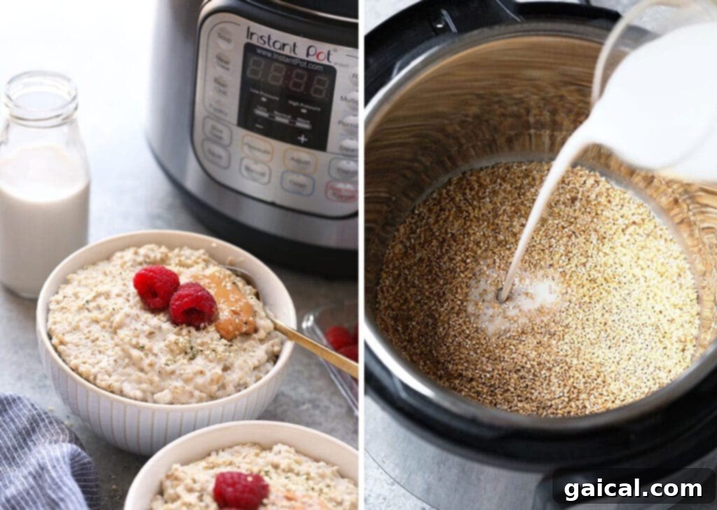 Wholesome Steel Cut Oats 2 Creamy Instant Pot steel cut oats served in a bowl with fresh berries, highlighting the quick and easy cooking method.