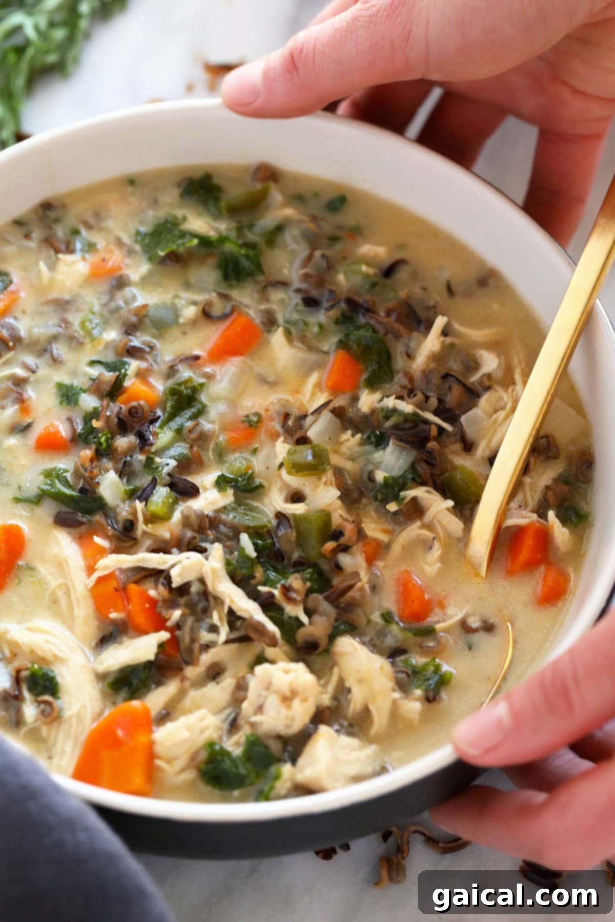 Hearty Chicken Wild Rice Soup 2 Chicken wild rice soup in a bowl, showcasing its rich, creamy texture and wholesome ingredients.