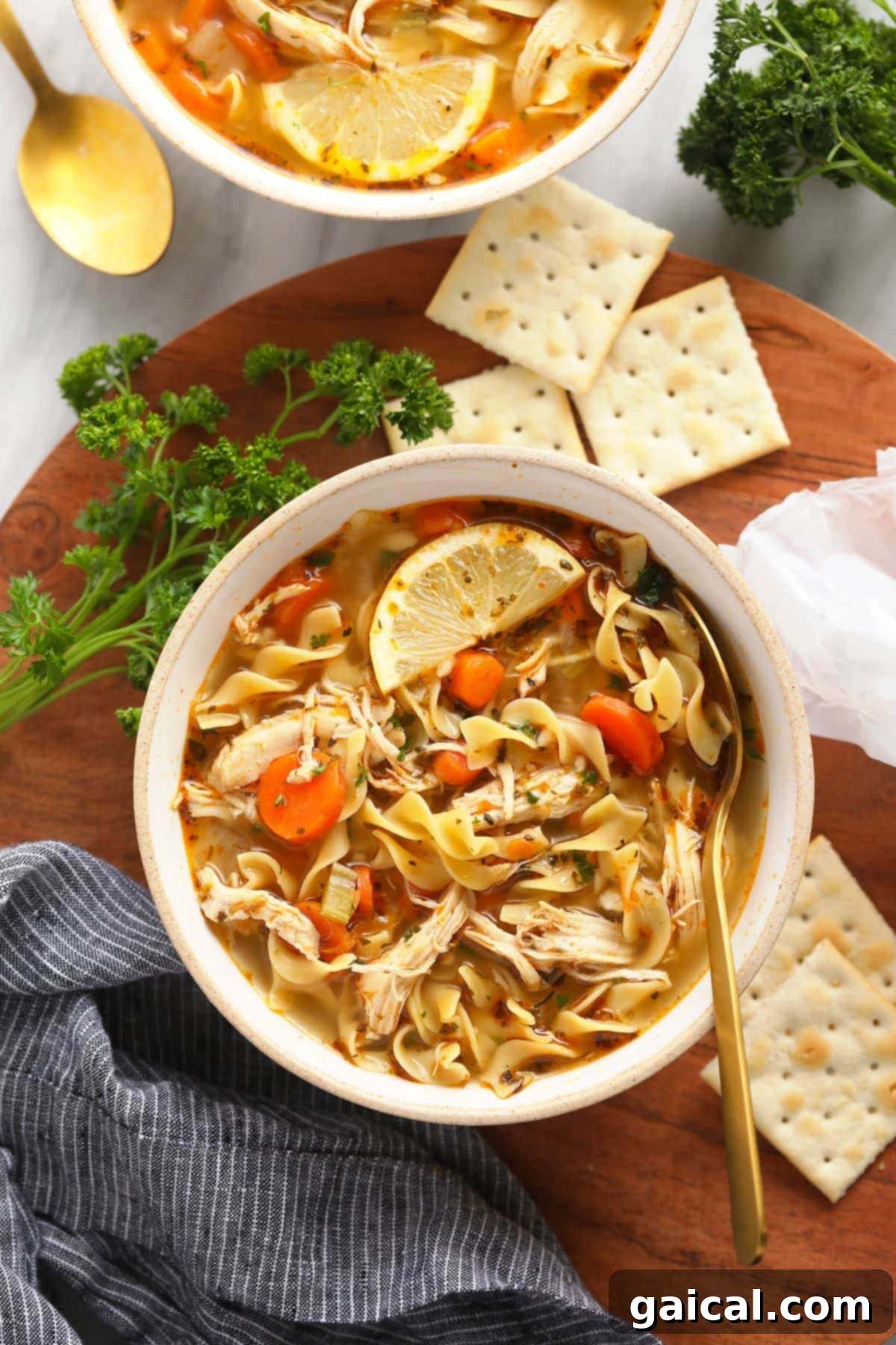 The most flavorful Instant Pot Chicken Noodle Soup made with tons of veggies, tender chicken, egg noodles, and an incredibly tasty broth! A steaming bowl of Instant Pot Chicken Noodle Soup with a spoon and crackers on the side, showcasing its rich broth, tender chicken, and fresh vegetables.