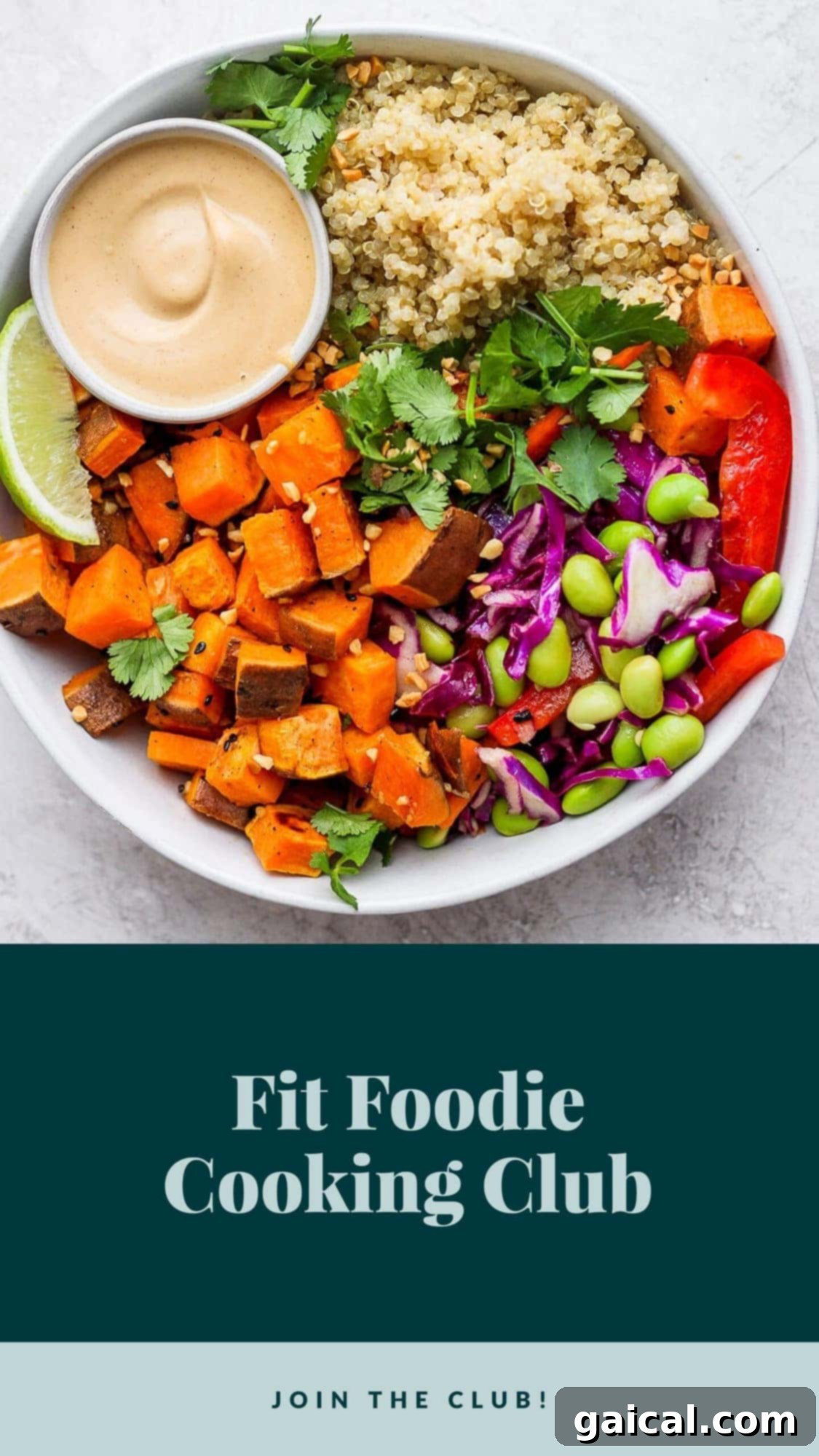 Fit Foodie Culinary Collective 2 A vibrant collage showcasing various healthy and delicious dishes prepared by Fit Foodie Cooking Club members, symbolizing community and culinary adventure.