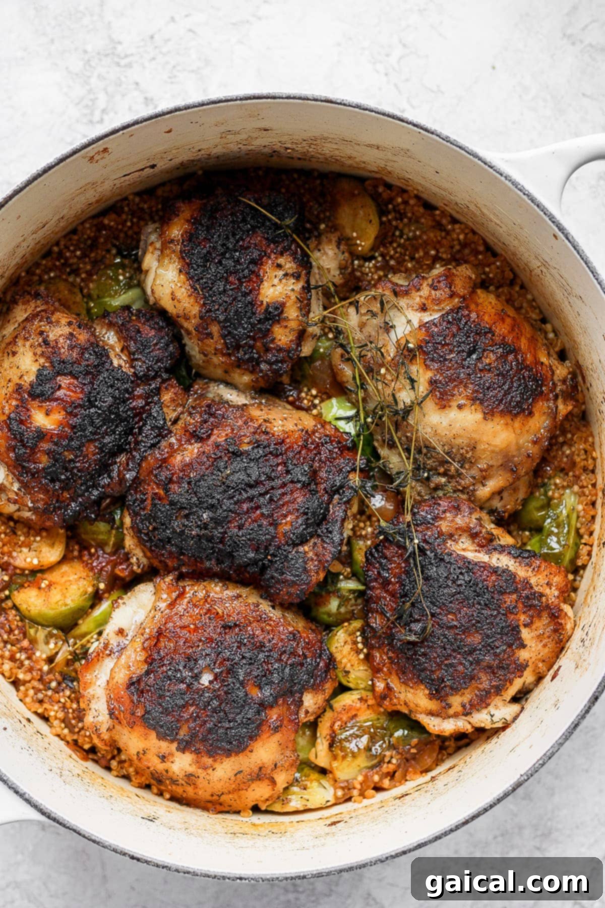 Perfectly cooked Dutch Oven Chicken Thighs with Brussels sprouts and quinoa, ready to be served from the pot.