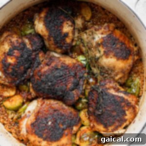 Close-up of golden-brown chicken thighs in a Dutch oven, surrounded by vibrant vegetables and quinoa.
