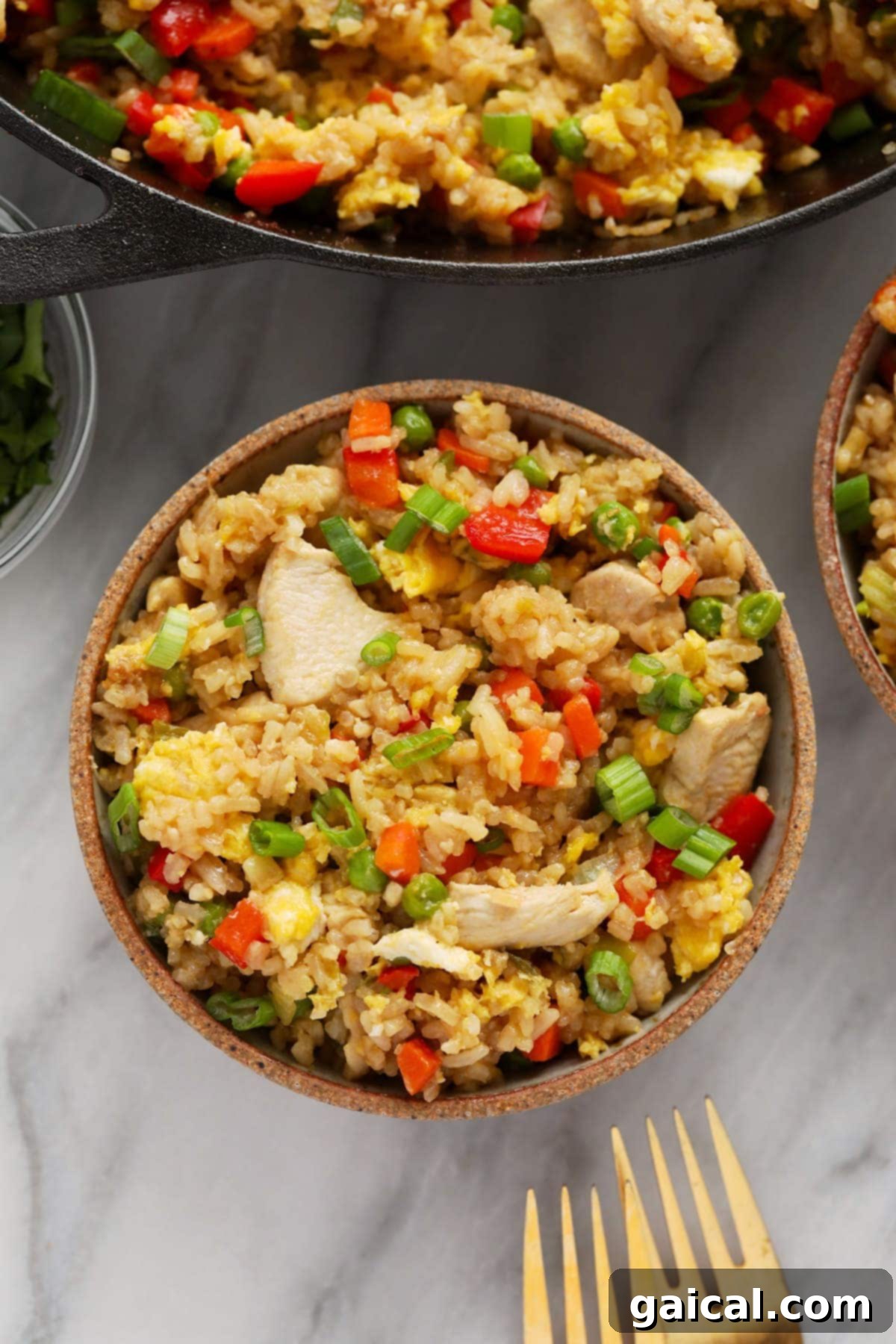 A beautifully plated bowl of chicken fried rice, garnished with fresh green onions and sesame seeds, ready to be enjoyed.