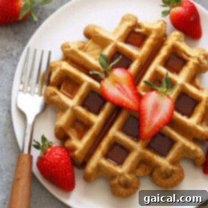 protein waffles