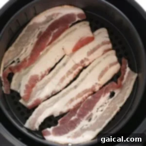 Raw bacon being placed into an air fryer basket.