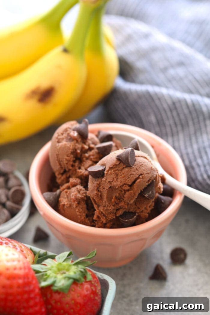 Rich chocolate nice cream, healthy and dairy-free.