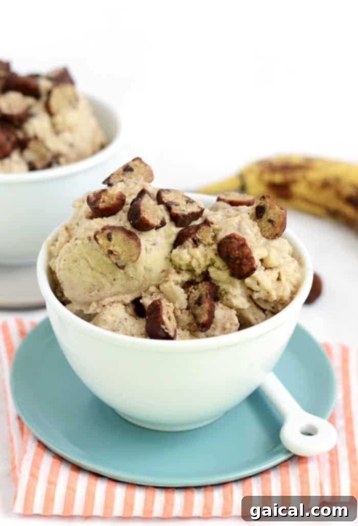 Delicious and healthy banana soft serve recipes, skip the calories and fat.