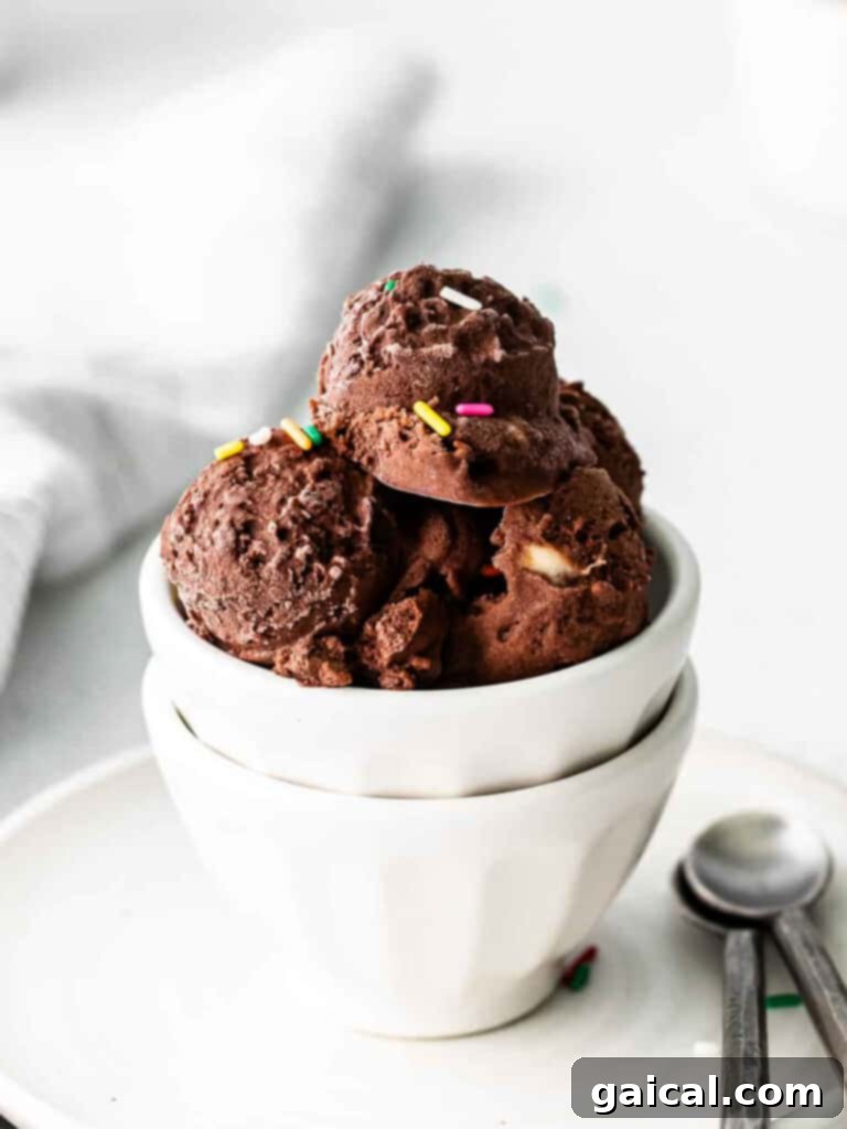 A bowl of creamy chocolate protein nice cream.